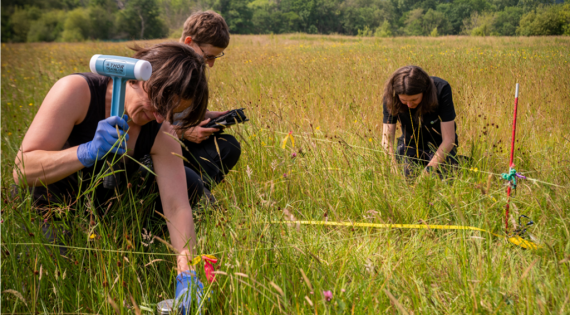 Countryside Survey surveyors in the field