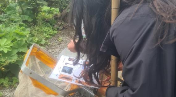 Water Sampling Windermere