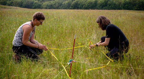 Two people in a field surveying