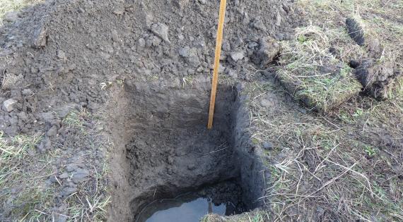 Soil sample collection