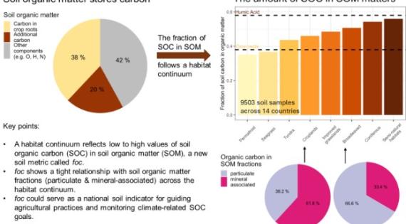 Graphical abstract_Soil organic 