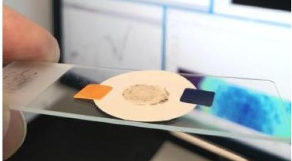 Microplastics concentrated onto a filter for analysis by infrared spectroscopy