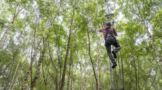 Person climbing a tower in a forest