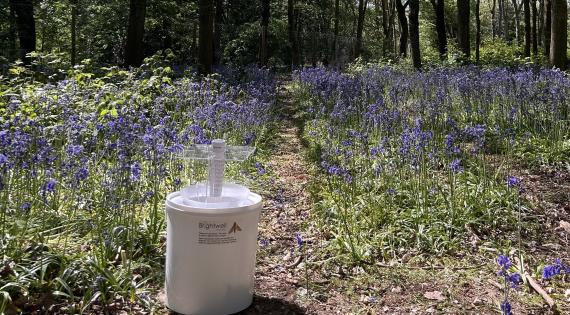 Brightwell bucket moth trap placed in a woodland in front of bluebells