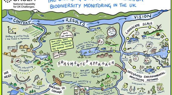 Overview graphic with all the different descriptors raised in the workshop and survey, with a water landscape behind