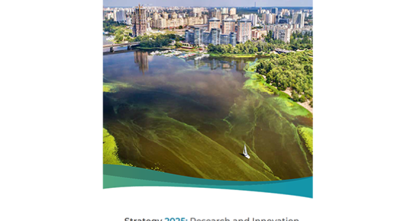 Cover of UKCEH Strategy 2025 Cover of UKCEH Strategy 2025