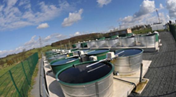 Aquatic mesocosms
