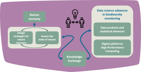 Diagram visualising the Knowledge Exchange process closing the gap between advances in data science and statistics made by the scientific community and practitioners working on nature recovery on the ground