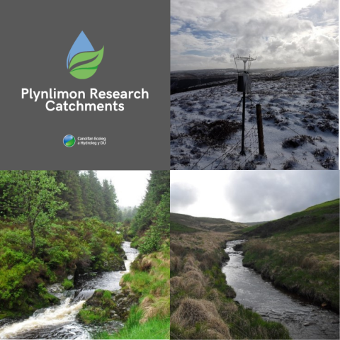 Plynlimon Catchments