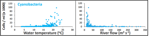 Cyanobacteria in lower Thames 2016-21 Cyanobacteria in lower Thames 2016-21