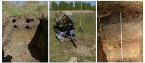 Soil sampling photographs: Sergey Gaschack, Chornobyl Center, Ukraine Soil sampling photographs: Sergey Gaschack, Chornobyl Center, Ukraine