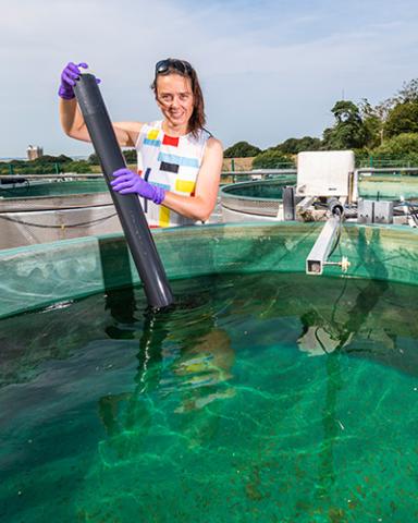 Heidrun Feuchtmayr holding a pipe at the UKCEH Aquatic Mesocosm Facility