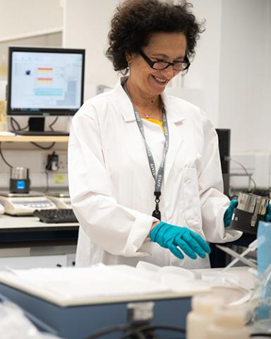 Inma Lebron Robinson in the Bangor analytical chemistry lab