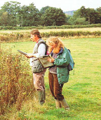 Countryside Survey 1990