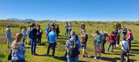 Figure 3 CAPER day 2. Group chat on dunes about project background before heading to the plot. Photo credit Mike Perring. 