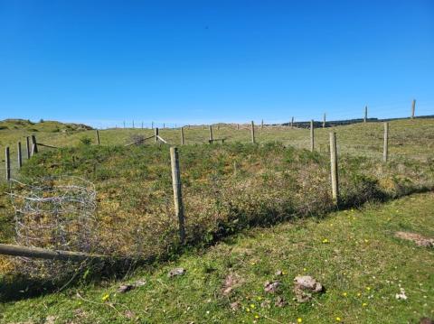 Figure 2 CAPER day 2. Newborough field plot. 