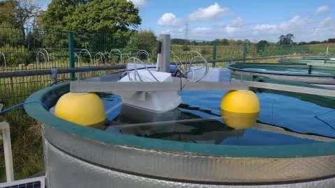 Measuring equipment in the mesocosm