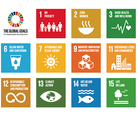 The 11 UN Sustainable Development Goals specifically mentioned in the UKCEH strategy