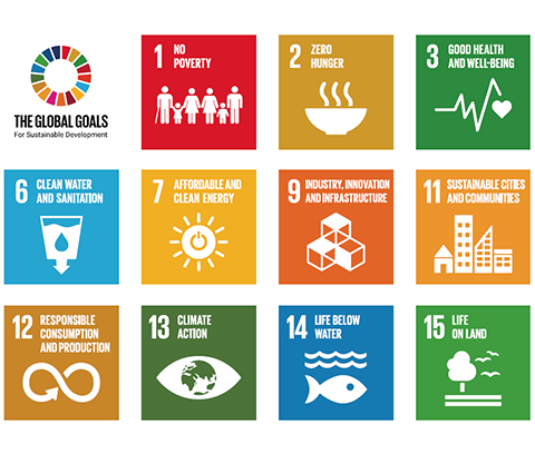 The 11 UN Sustainable Development Goals specifically mentioned in the UKCEH strategy The 11 UN Sustainable Development Goals specifically mentioned in the UKCEH strategy