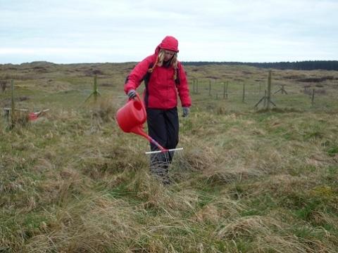 Applying nitrogen treatments in a grazing experiment