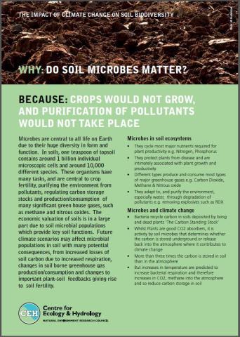 Soil microbes leaflet