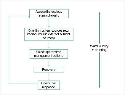 Conceptial model of a decision support system for lake restoration