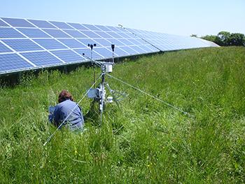 Scientist investigating effects of a solar farm on the local environment