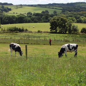 Farmed land (photo by Rothamsted Research)