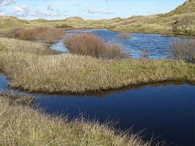 Flooded dune slacks at Aberffraw dunes in winter