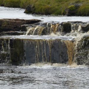 Upland stream (photo by Andy Sier, CEH)