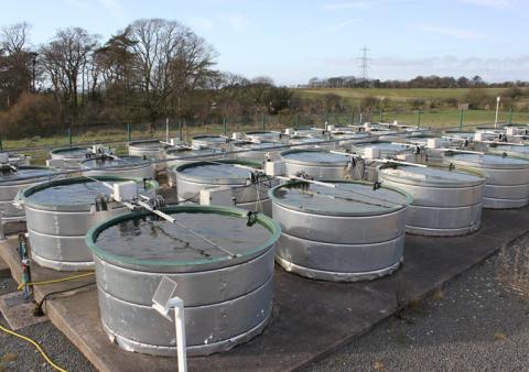 A number of tanks filled with water