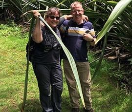 Grappling with non-native New Zealand Flax on St Helena Grappling with non-native New Zealand Flax on St Helena