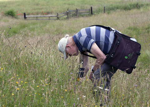 Mark Hill engaged in biological recording in the field