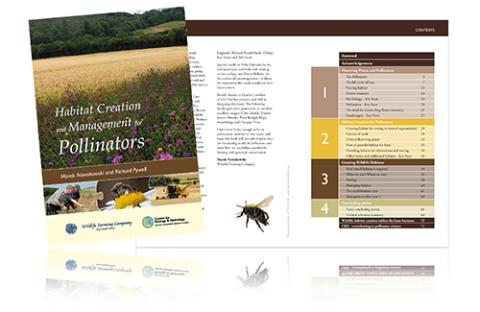 Bee Book Cover Bee Book Cover