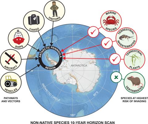 Invasive species posing threat to Antarctica