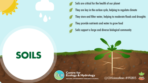 Importance of soils infographic for International Year of Soils