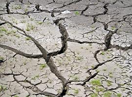 Drought affected ground at Whim Bog, Scotland. Photo - Heather Lowther