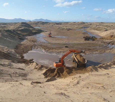 Kicking-starting natural dune dynamics