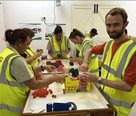 Learning about biosecurity produce inspections on St Helena