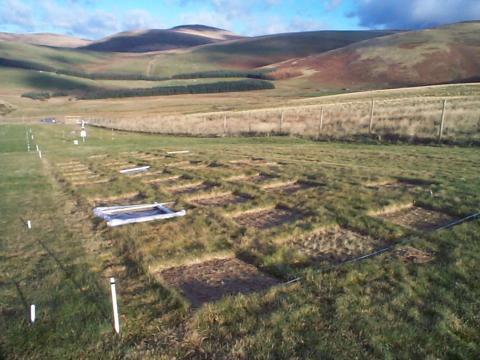 View of the experimental site at Sourhope