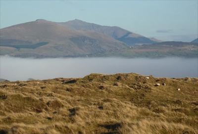 Overstablised dunes at Newborough Warren with Snowdon in the distance