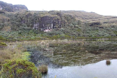 Grassland-peatland landscape in a Colombian paramo