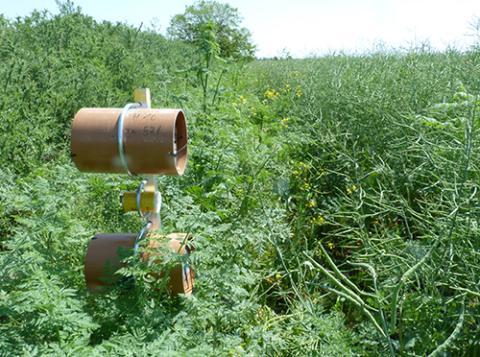 Pollinator trap nest system in a field