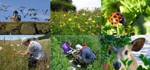 Fieldwork and monitoring - CEH science for State of Nature