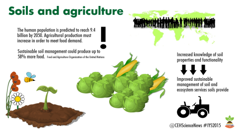 Infographic about soils and agriculture, produced by CEH for International Year of Soils 2015