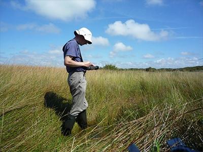 Surveying a dune slack at Birkdale on the Sefton Coast