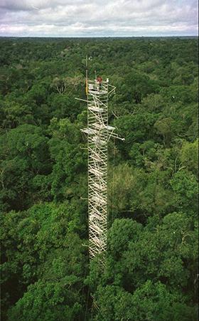 Flux tower in the Amazon rainforest