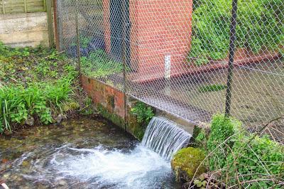 Wendover Springs - thought to be the earliest extant stream flow monitoring site in the UK. 