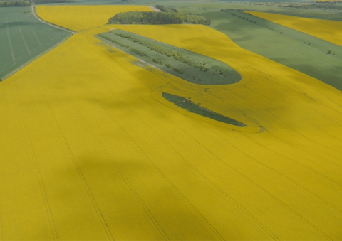 Aerial view of one UK trial plot in CEH's neonicotinoids field trial study