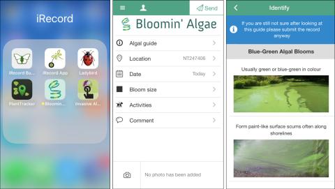 Bloomin' Algae app